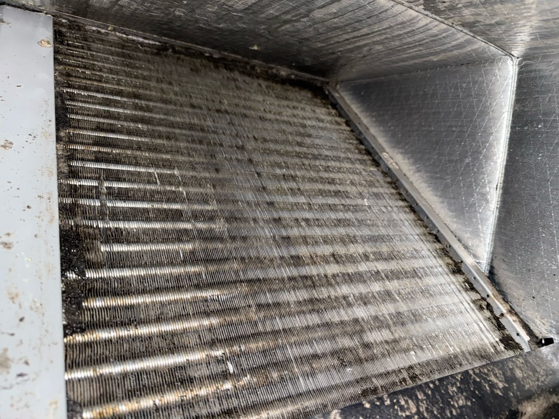 Cleaner Air with Our Expert Coil Cleaning Service image